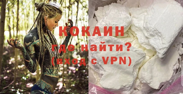 прущие грибы Абинск