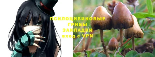 меф Алзамай