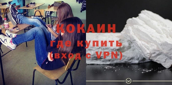 прущие грибы Абинск