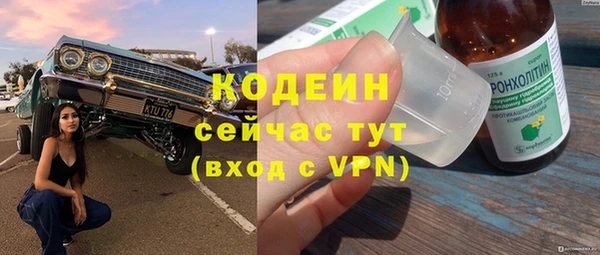прущие грибы Абинск
