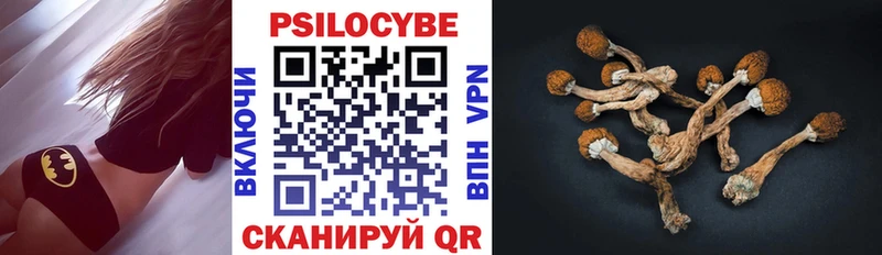 Псилоцибиновые грибы MAGIC MUSHROOMS  Сорочинск 